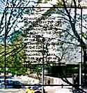 Talking Story 2002  - 12" x 12" glass 